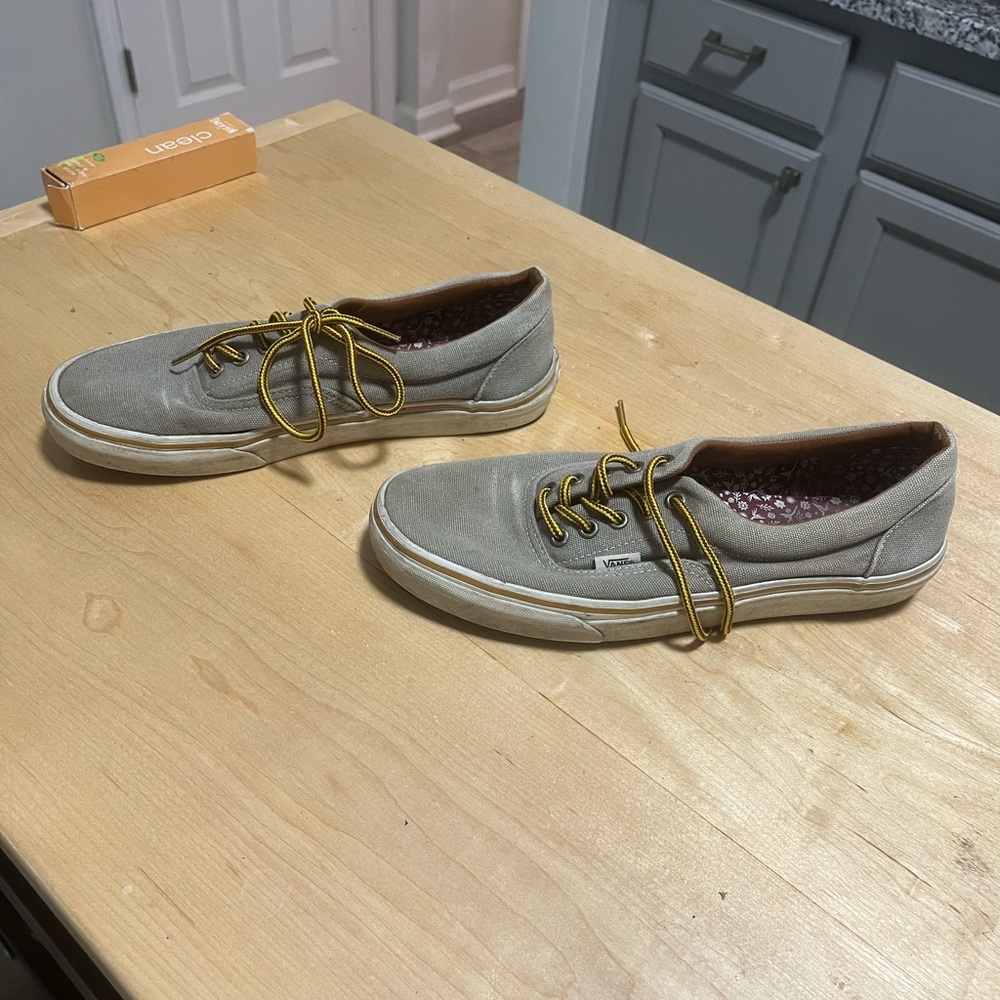 Classic Vans Skate shoes